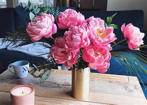 Chrysanthemums, or mums for short, add a splash of color to any indoor or outdoor medium and are great plants to have in general. 6 Easy Ways to Make Flowers Last Longer | HelloGiggles