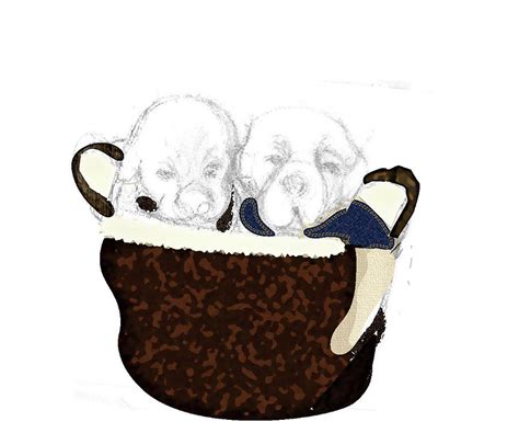 Dogs In A Basket Drawing By Barbara Ann Cohen Fine Art America