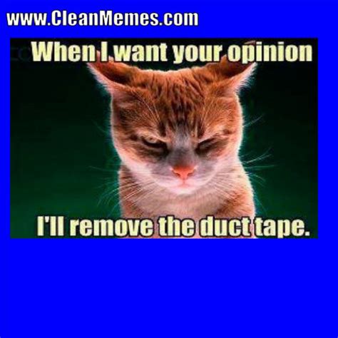 Hoping to come out with another cat meme video. Clean Memes 02-21-2018 - Clean Memes