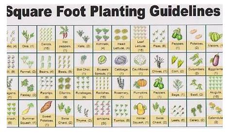 vegetable garden plant spacing chart