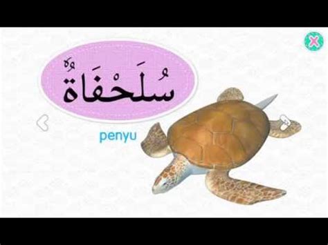 Kata bilangan dalam bahasa arab artinya 'adad (عَدَد) atauالأعْدَاد. Download Gambar Makanan Dan Minuman Bahasa Arab - Gambar ...