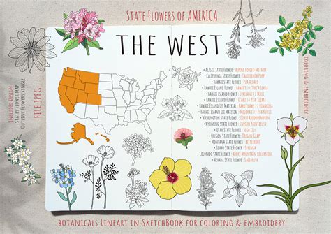 State Flowers Of America Set 6the West Graphic By Hanatist Studio