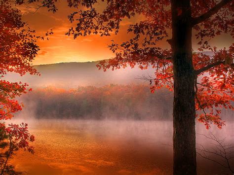 Autumn Atmosphere Fall Atmosphere Colors Sunrise Lake Mist Trees