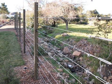 Keep The Deer Out With Cable Rail Fence Modern Backyard Modern
