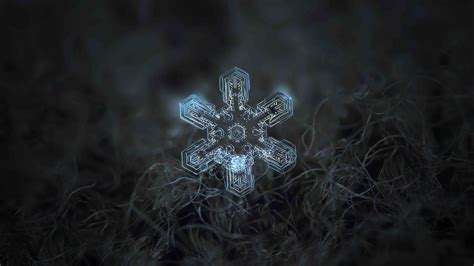 Macro Photos Of Snowflakes Show Impossibly Perfect Designs