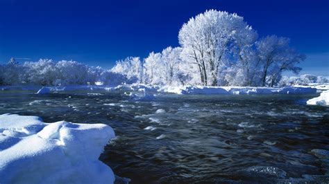 Nature Winter Trees Snow Seasonal Rivers Frost Landscapes