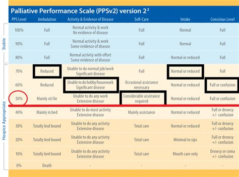 What Is The Palliative Performance Scale Part 1