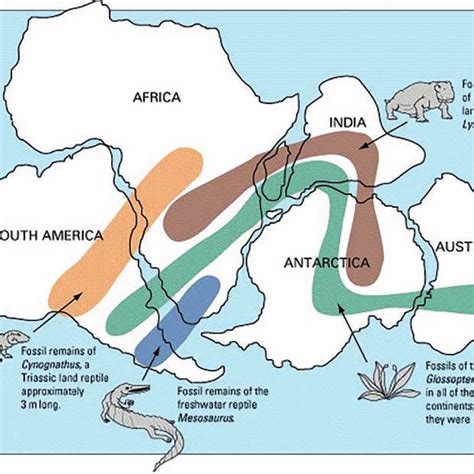 Modern Usgs Map Of Pangaea Augmented By Fossil Evidence Supporting The