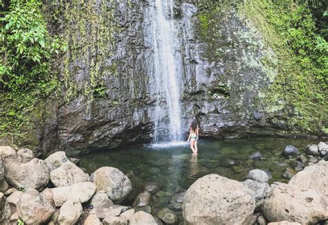 This fun, jungle-filled hike could easily make a "10 Best Things To Do