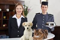 Pet friendly hotels provides quality hotel booking for hotels that take pets worldwide. Pet Friendly Hotels | PetTravel.com
