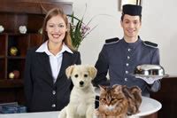 Our pet friendly travel guide lists pet friendly vacation rentals, hotels & lodging; Pet Friendly Hotels | PetTravel.com