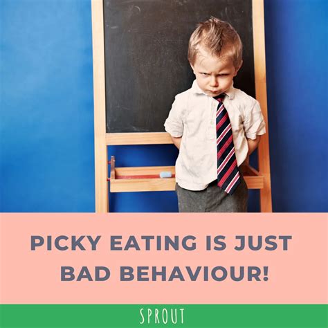 Is Picky Eating Just Bad Behaviour