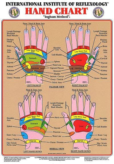 Ingham Foot And Hand Chart Set Us Letter Nearly A4 Size