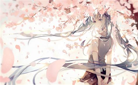 Hatsune Miku Vocaloid Cherry Blossom Wallpapers Hd Desktop And