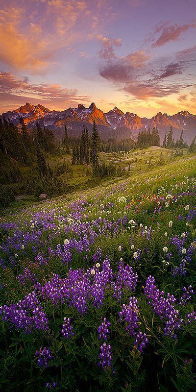 Summer Evenings Nature Photography Beautiful Landscapes Scenery