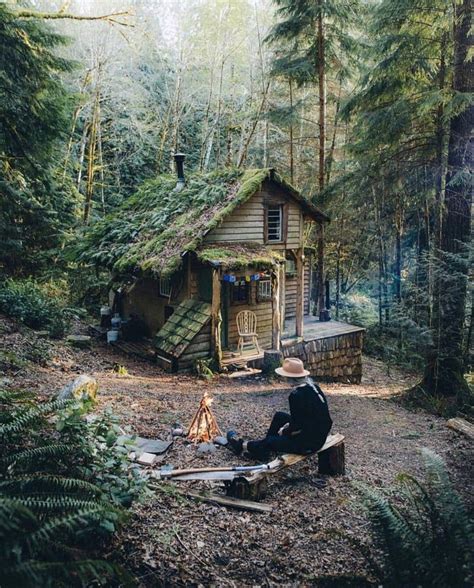 This Cozy Cottage Surrounded By Woods Cozy Comfy Cabins In The