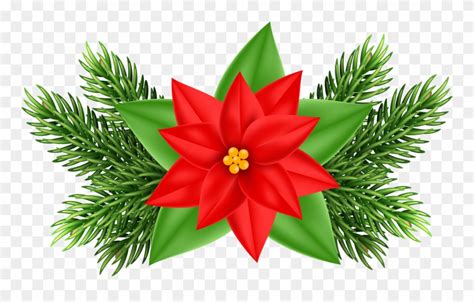 Clip Art Christmas Poinsettia Png Download Pinclipart