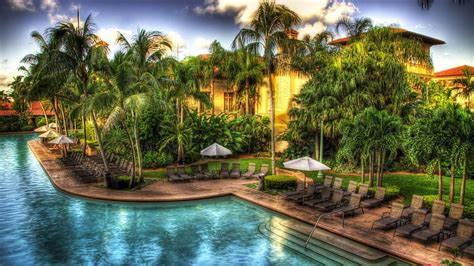 Pool In A Tropical Resort R Resort R Trees Pool Lounges Hd