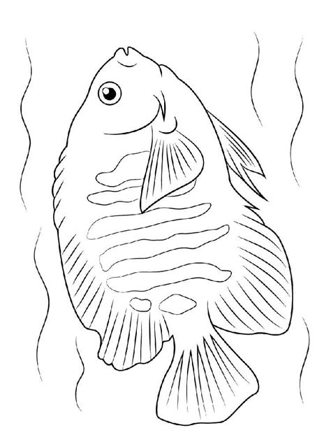 Find high quality angelfish coloring page, all coloring page images can be downloaded for free for personal use only. Angelfish coloring pages. Download and print Angelfish coloring pages.