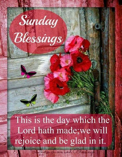 Sunday Blessings Good Morning Sunday Sunday Quotes Blessed Sunday