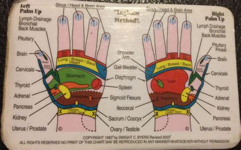 Pressure Points In The Hand Chart