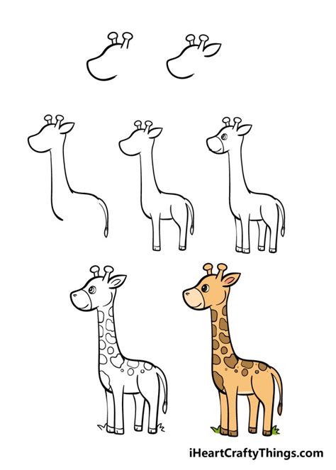 Giraffe Drawing How To Draw A Giraffe Step By Step