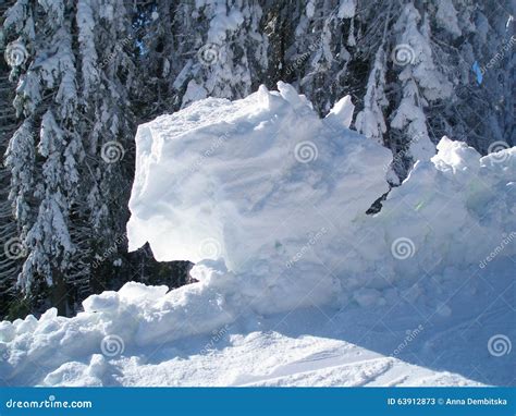 Lump Of Snow On The Background Of Fir Trees Stock Image Image Of