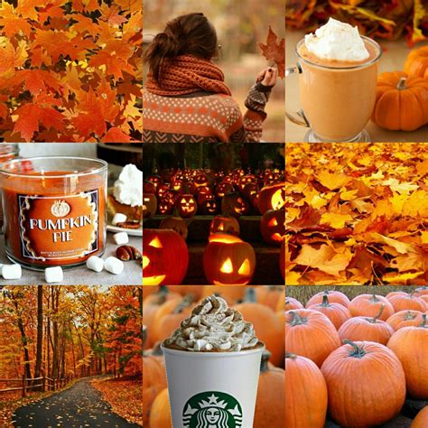 24 New Top Aesthetic Autumn Pictures