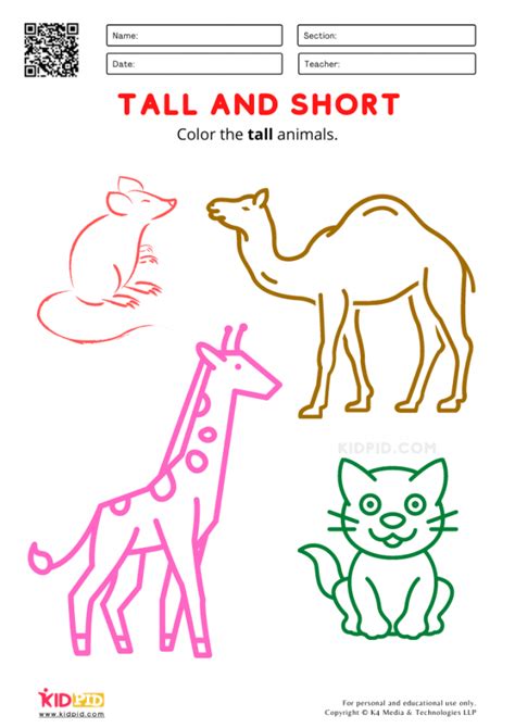 Tall And Short Worksheets For Preschool Free Printables Kidpid