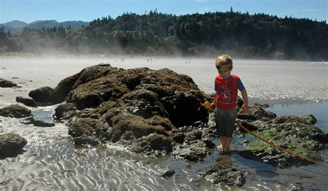 Salt Creek Recreation Area The Olympic Peninsula Wa