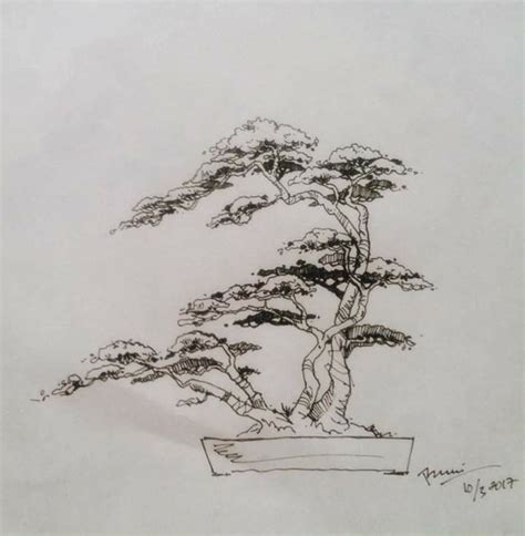 Ghim Của Surya Supriatna01 Trên Sketsa Bonsai Thực Vật Hình ảnh Cây