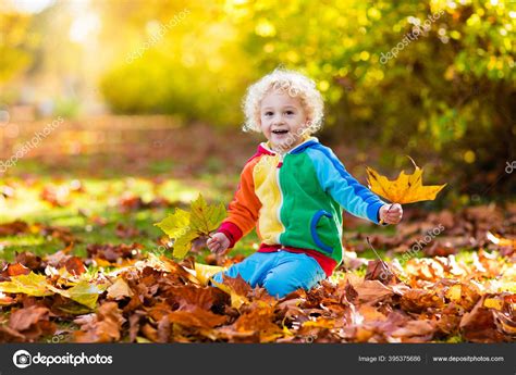 Kids Play Autumn Park Children Throwing Yellow Red Leaves Little Stock