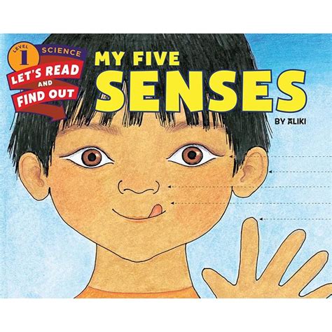 My Five Senses Book My Five Senses Senses Activities Senses