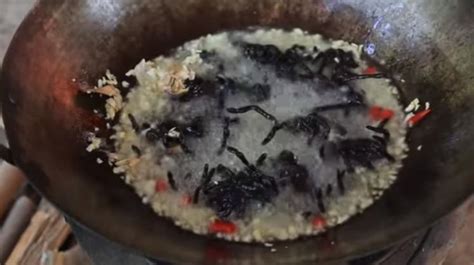 Bikin Geli Cewek Cantik Ini Berani Masak Dan Makan Tarantula Tanpa Takut