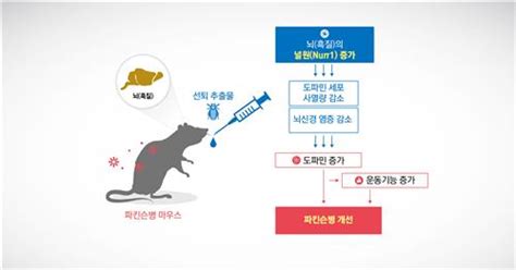 Learn vocabulary, terms and more with flashcards, games and other study tools. "매미 허물이 파킨슨병 개선"…한의학연, 동물실험으로 입증 ...