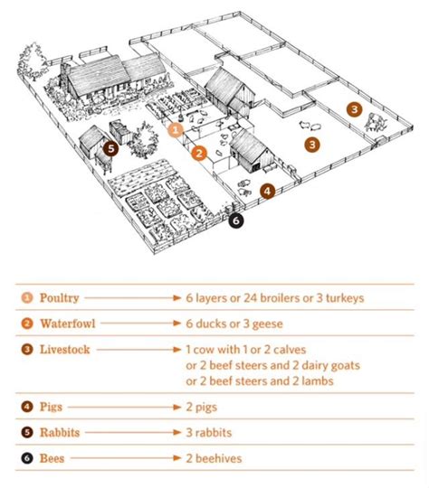Homestead Layout Plans