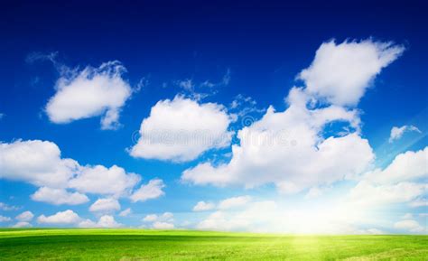 Meadow And Blue Sky Stock Photo Image Of Beautiful Green 6043322
