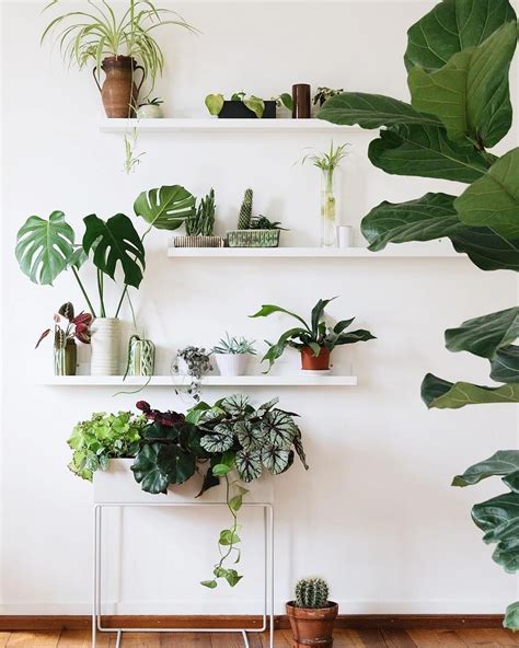 42 Great Ideas To Display Indoor Plant Plant Decor Indoor Room With