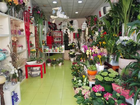 We did not find results for: Floristería Raquel - Fuente Álamo de Murcia - Calle Isaac ...