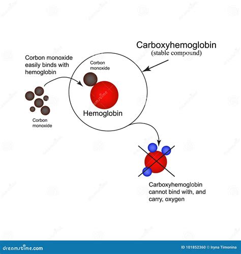 Carboxyhemoglobin. Joining the Hemoglobin Carbon Monoxide. Inability To