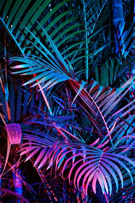 Search free wallpapers, ringtones and notifications on zedge and personalize your phone to suit you. Esthetic Phone Wallpapers - Wallpaper Cave