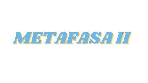 Metafasa Ii Pdf