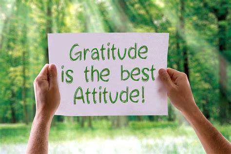 Gratitude Can Change Your Brain How To Practice Gratitude Daily