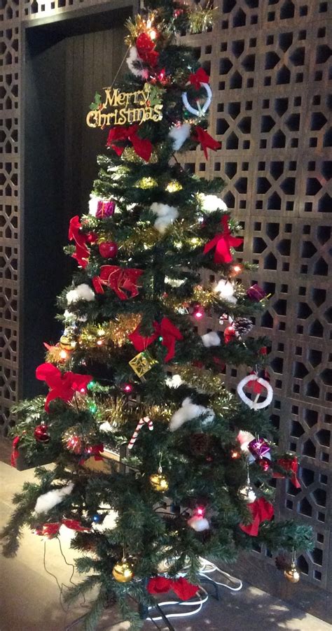 Christmas cacti are such beautiful plants when they flower, and we often hear that cuttings have been passed down from generation to generation, often still thriving after decades. Hokkaido Kudasai: What Does Christmas in Okinawa Look Like?