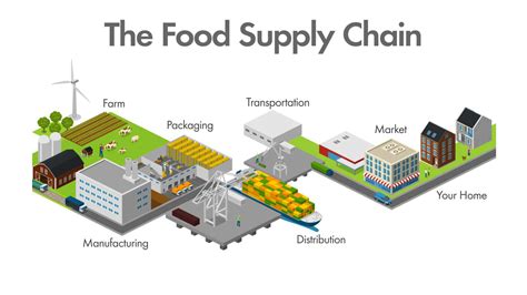 Nestle Supply Chain Diagram