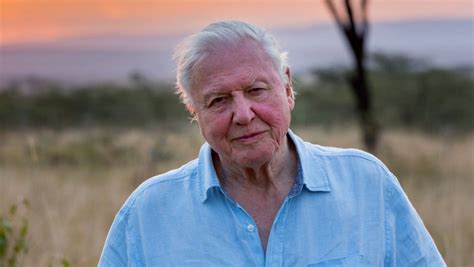 Sir david frederick attenborough (/ˈætənbərə/; Iconic environmentalist and filmmaker Sir David ...