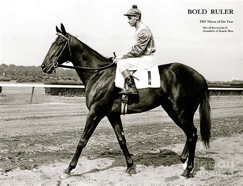 Bold Ruler Sire Of Secretariat And Grand Sire Of Seattle Slew