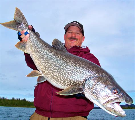 Thebbztv Great Bear Lake In The Nwt Catching Lake Trout On Tubes