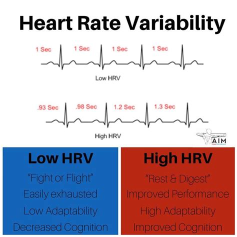 What Is Heart Rate Variability And How Can You Improve It — Aim Human