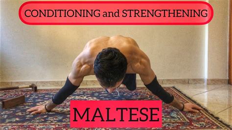 Maltese Routine Calisthenics Conditioning And Strenghtening Youtube